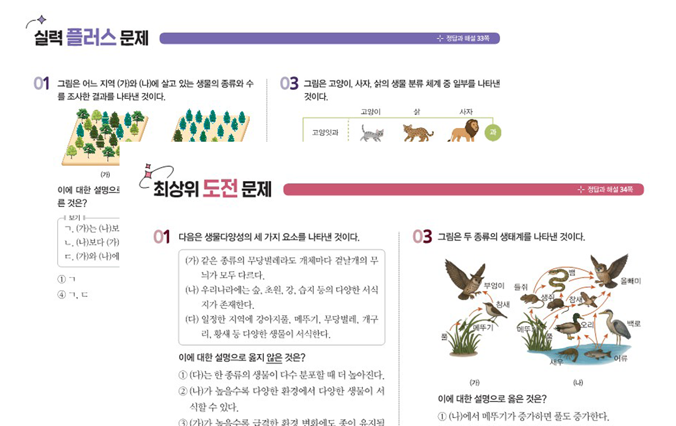 실력 플러스, 최상위 도전 문제 이미지